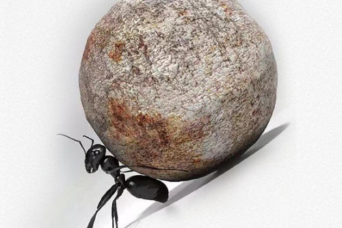 手机被偷，我不要了!请把照片还给我。