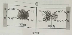 2019全国1卷高考理综试题【word精校版】 2019全国1卷高考理综试题【word精校版】