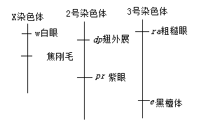 2019山东高考理综试题及答案【word真题试卷】 2019山东高考理综试题及答案【word真题试卷】