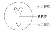 2019辽宁高考理综试题【word精校版】 2019辽宁高考理综试题【word精校版】