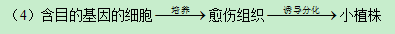 2019辽宁高考理综试题及答案【word真题试卷】 2019辽宁高考理综试题及答案【word真题试卷】
