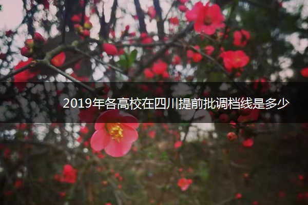 2019年各高校在四川提前批调档线是多少 2019年各高校在四川提前批调档线是多少