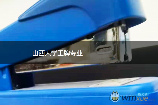 山西大学王牌专业