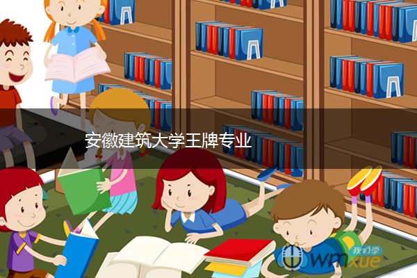 安徽建筑大学王牌专业