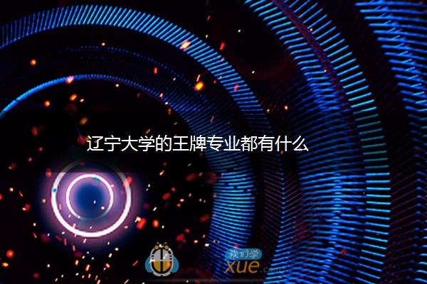 辽宁大学的王牌专业都有什么