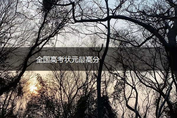 全国高考状元最高分