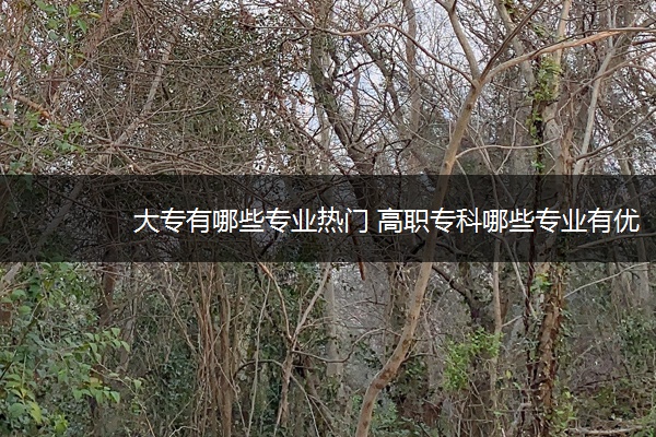 大专有哪些专业热门 高职专科哪些专业有优势就业好 大专有哪些专业热门 高职专科哪些专业有优势就业好