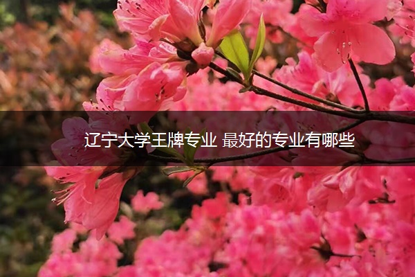 辽宁大学王牌专业 最好的专业有哪些