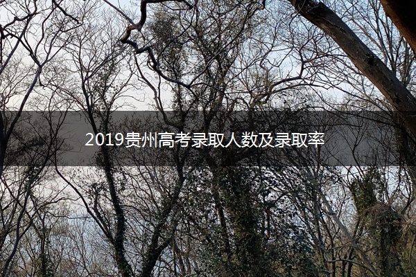 2019贵州高考录取人数及录取率 2019贵州高考录取人数及录取率