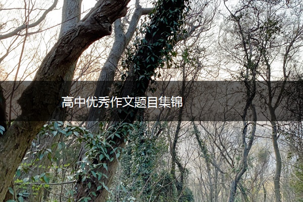高中优秀作文题目集锦