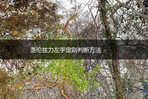 洛伦兹力左手定则判断方法 洛伦兹力左手定则判断方法
