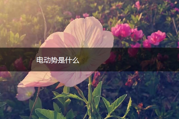 电动势是什么 电动势是什么
