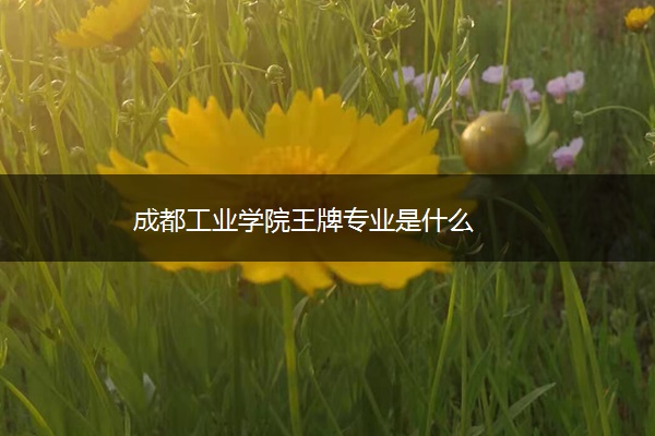 成都工业学院王牌专业是什么