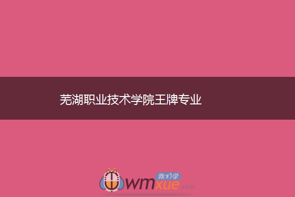 芜湖职业技术学院王牌专业