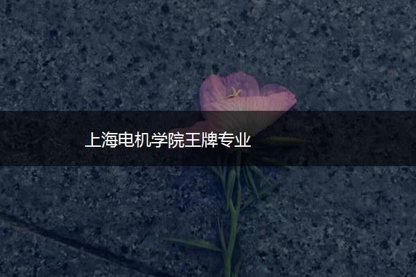 上海电机学院王牌专业 上海电机学院王牌专业