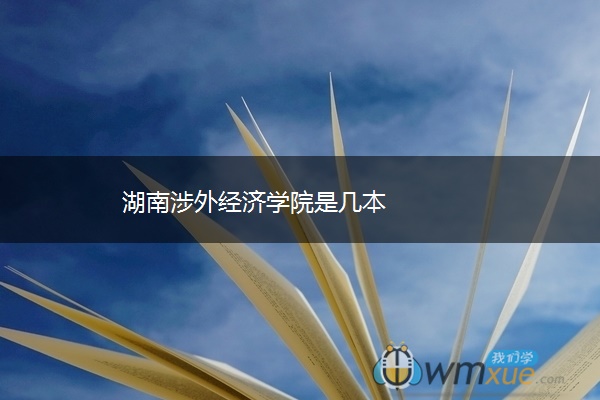 湖南涉外经济学院是几本