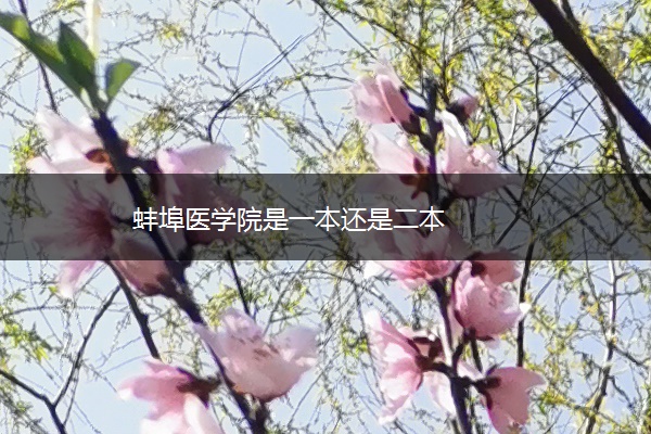 蚌埠医学院是一本还是二本 蚌埠医学院是一本还是二本