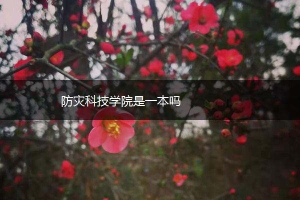 防灾科技学院是一本吗