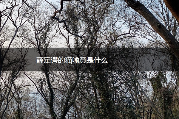 薛定谔的猫喻意是什么 薛定谔的猫喻意是什么