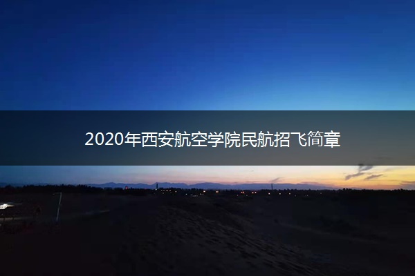 2020年西安航空学院民航招飞简章 2020年西安航空学院民航招飞简章