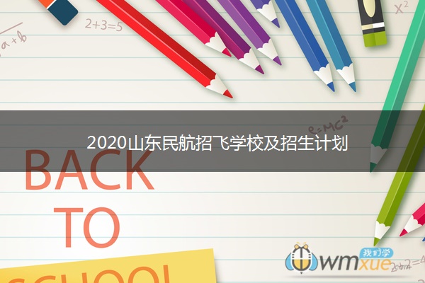 2020山东民航招飞学校及招生计划