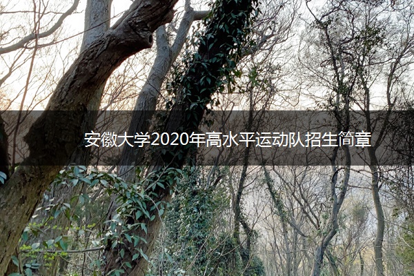 安徽大学2020年高水平运动队招生简章 安徽大学2020年高水平运动队招生简章