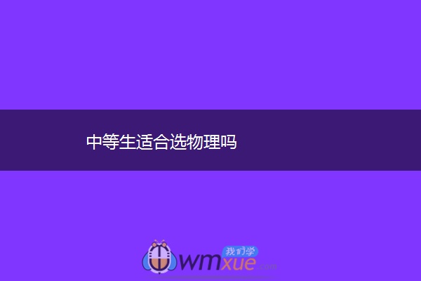中等生适合选物理吗