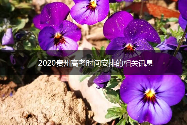 2020贵州高考时间安排的相关讯息 2020贵州高考时间安排的相关讯息