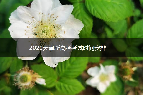 2020天津新高考考试时间安排 2020天津新高考考试时间安排