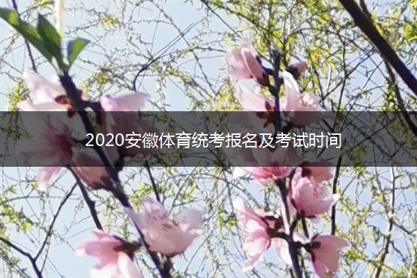 2020安徽体育统考报名及考试时间 2020安徽体育统考报名及考试时间