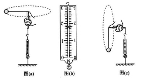 衡水金卷2020年高考模拟押题卷理综试题 衡水金卷2020年高考模拟押题卷理综试题