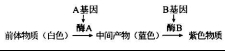 衡水金卷2020年高考模拟押题卷理综试题 衡水金卷2020年高考模拟押题卷理综试题