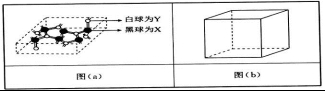 衡水金卷2020年高考模拟押题卷理综试题 衡水金卷2020年高考模拟押题卷理综试题