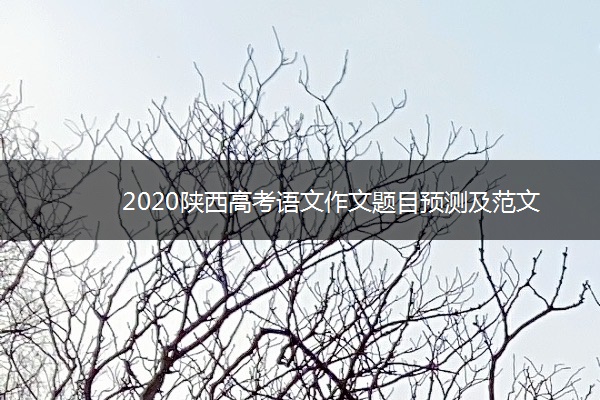 2020陕西高考语文作文题目预测及范文