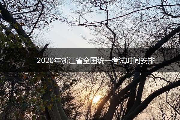 2020年浙江省全国统一考试时间安排 2020年浙江省全国统一考试时间安排