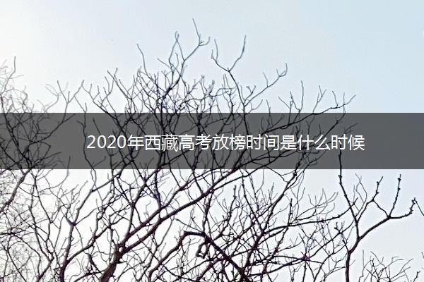 2020年西藏高考放榜时间是什么时候 2020年西藏高考放榜时间是什么时候