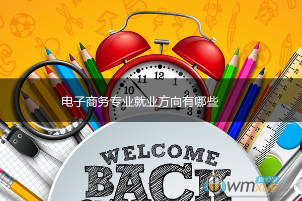 电子商务专业就业方向有哪些 电子商务专业就业方向有哪些