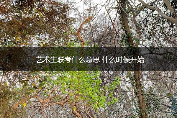 艺术生联考什么意思 什么时候开始 艺术生联考什么意思 什么时候开始