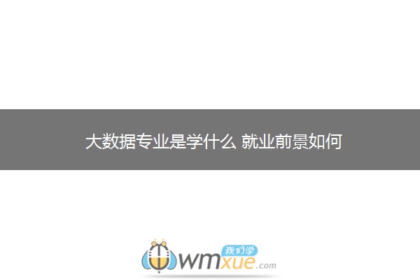 大数据专业是学什么 就业前景如何 大数据专业是学什么 就业前景如何