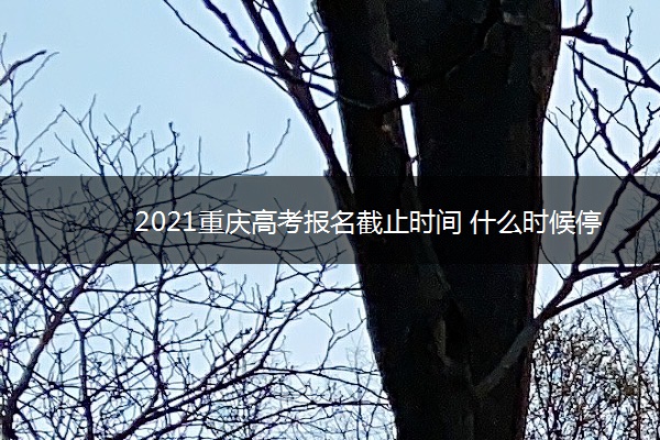 2021重庆高考报名截止时间 什么时候停止报名 2021重庆高考报名截止时间 什么时候停止报名