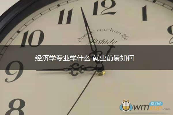 经济学专业学什么 就业前景如何 经济学专业学什么 就业前景如何