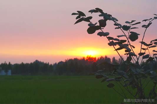 2021高考语文作文预测 作文押题及范文欣赏