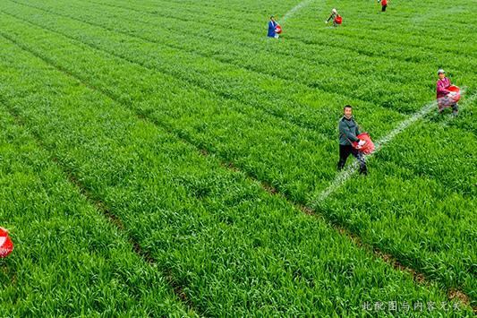 2021年6月英语四级作文真题及参考范文