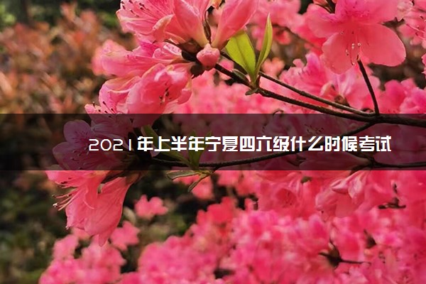 2021年上半年宁夏四六级什么时候考试 2021年上半年宁夏四六级什么时候考试