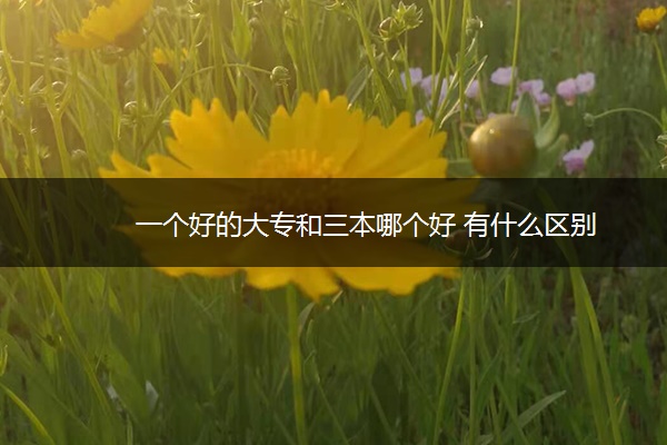 一个好的大专和三本哪个好 有什么区别 一个好的大专和三本哪个好 有什么区别