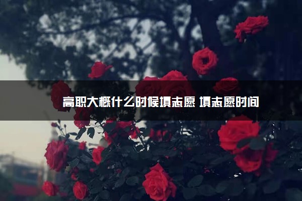 高职大概什么时候填志愿 填志愿时间