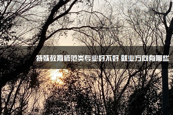 特殊教育师范类专业好不好 就业方向有哪些