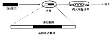 衡水金卷2021年高考模拟押题卷理综试题 衡水金卷2021年高考模拟押题卷理综试题