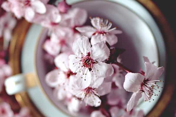 2026山西高考多少分能上黑龙江农业职业技术学院及专业？最低178分附录取分数线