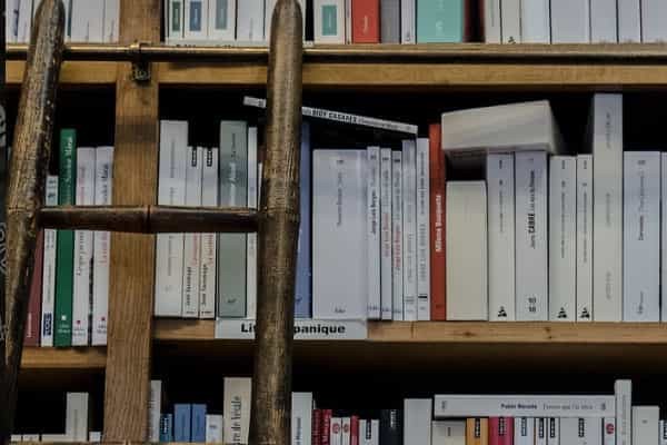 广东开设知识产权管理专业大学有哪些 相关专业推荐(2026参考)